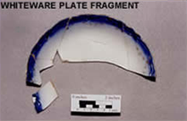 Whiteware Plate Fragments