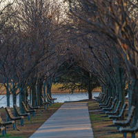Photo of Park Benches